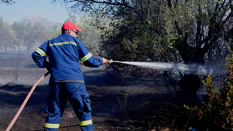 Αλεξανδρούπολη: Σε εξέλιξη η πυρκαγιά που εκδηλώθηκε μεταξύ των οικισμών Μελίας και Νίψας